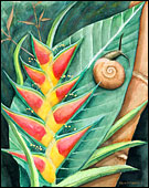 Bamboo Snail