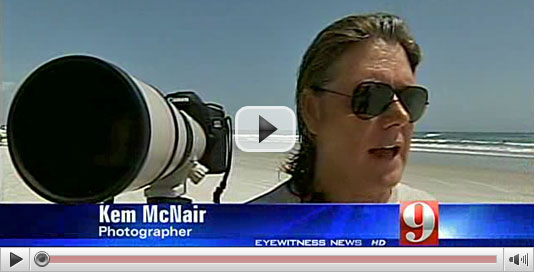 Wave Jumping Shark in New Smyrna Beach