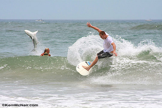 Jumping Shark of New Smyrna Beach, Frame 2