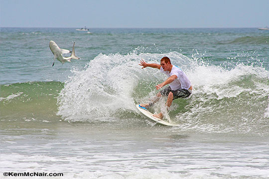 Jumping Shark of New Smyrna Beach, Frame 3